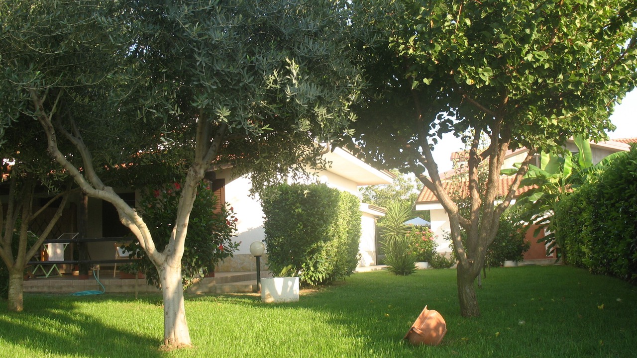 Photo of Outdoor in Ricadi