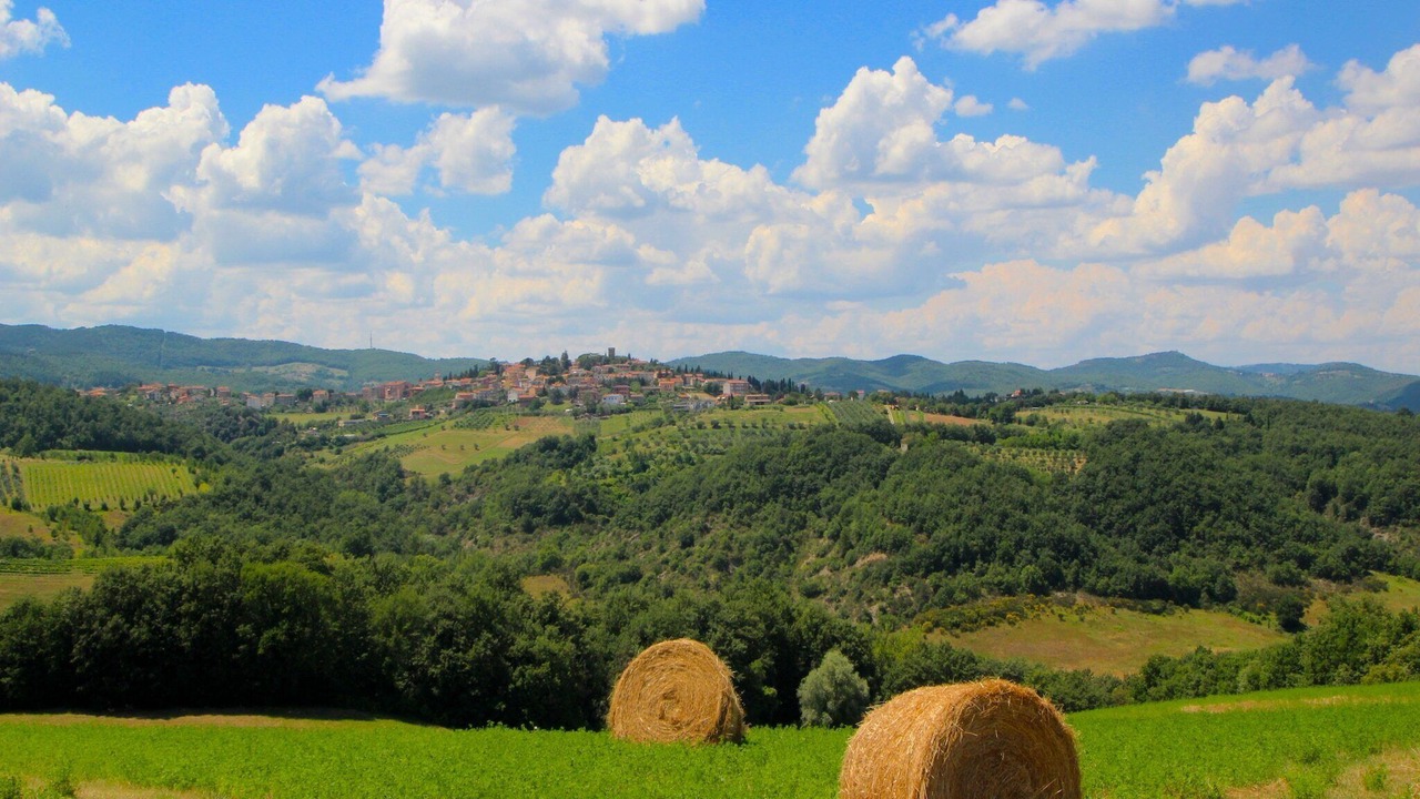 Photo of Others in San Venanzo