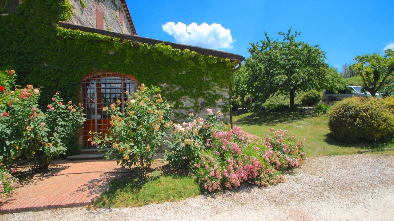 Photo of Outdoor in San Venanzo