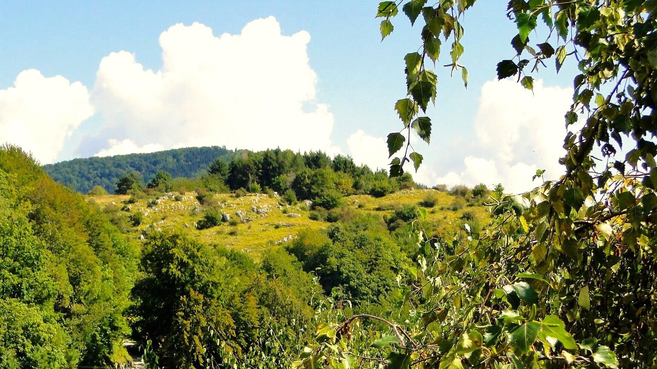Photo of Others in Careggine