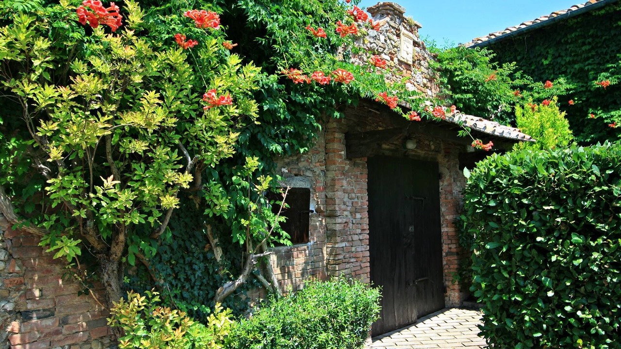 Photo of Outdoor in Montalcinello