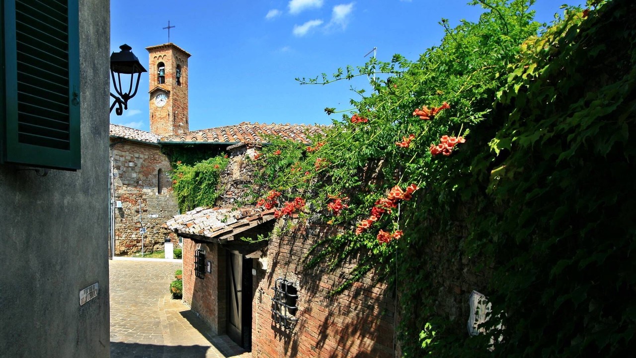 Photo of Outdoor in Montalcinello