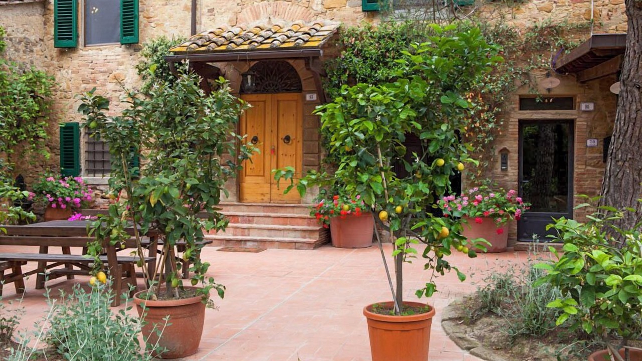 Photo of Outdoor in Montaione