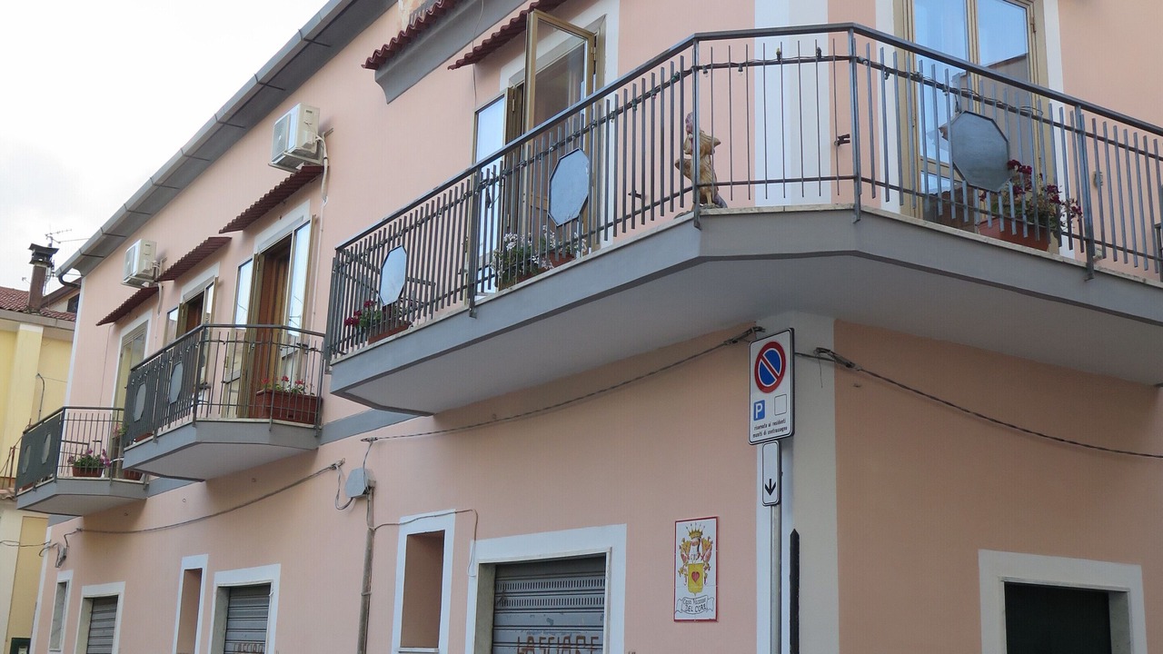 Photo of Outdoor in Campinola