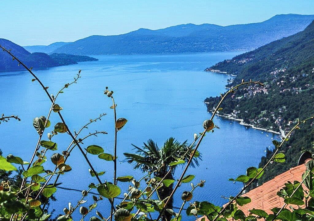 Photo of Others in Piancassone