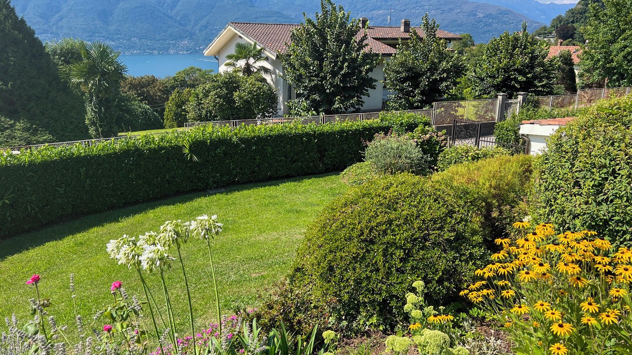 Photo of Outdoor in Betulla
