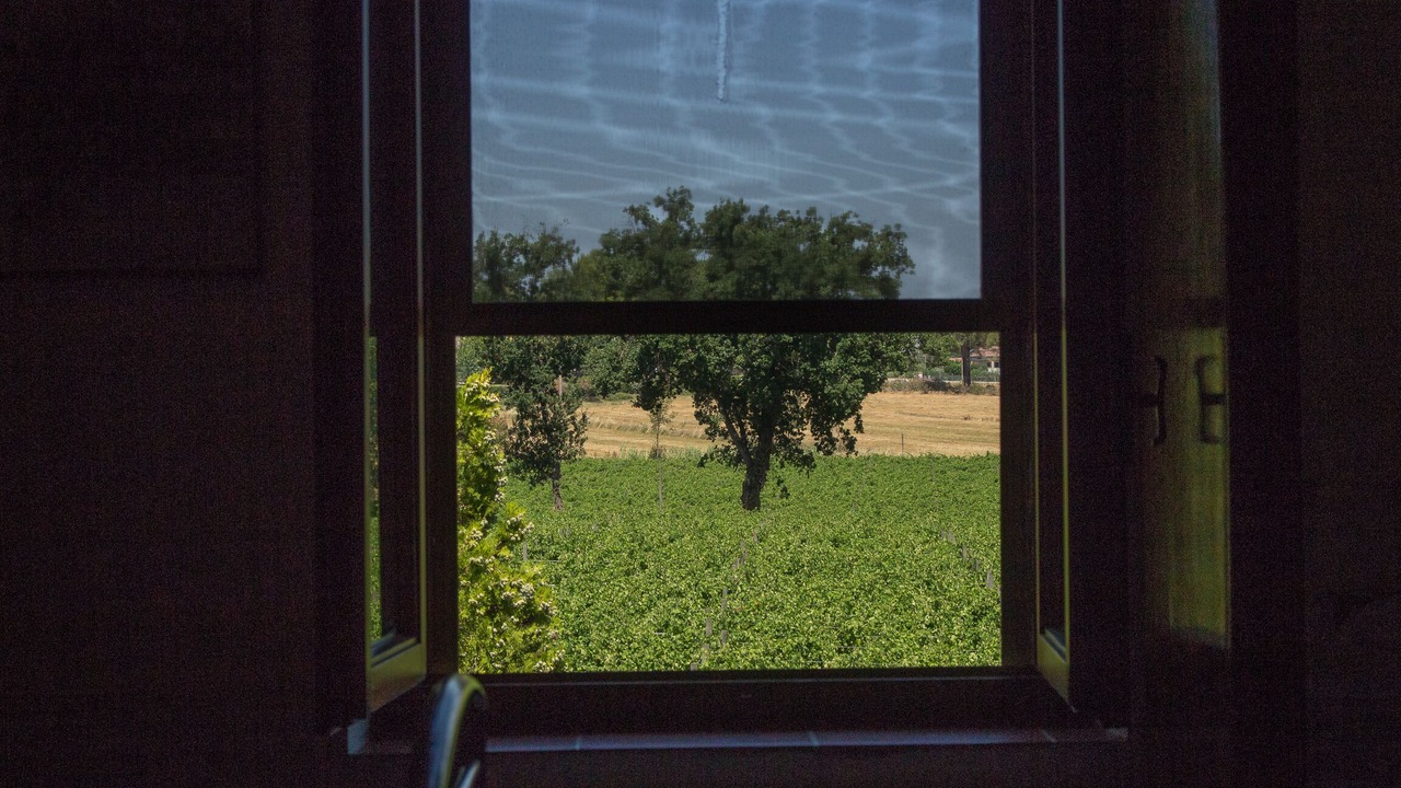 Photo of Others in Cantalupo