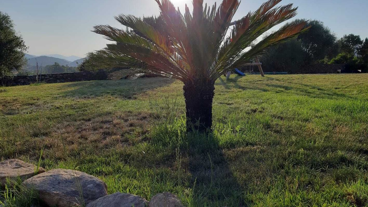 Photo of Outdoor in Torpe