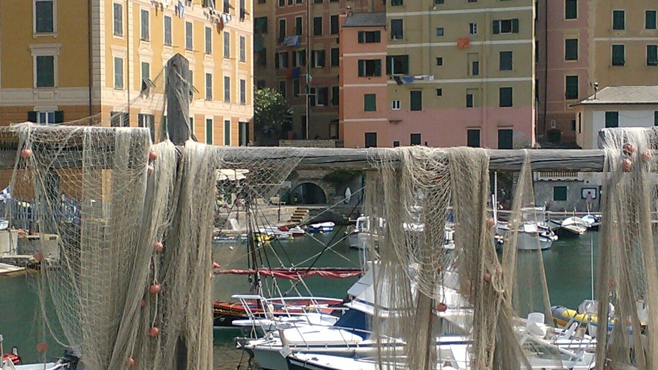 Photo of Others in Camogli
