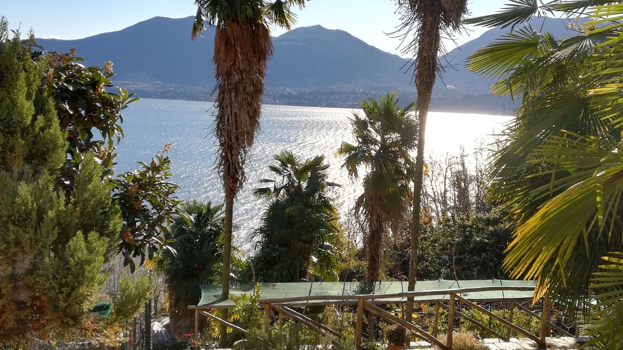 Photo of Outdoor in Camogno
