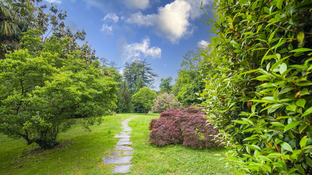 Photo of Outdoor in Ghiffa