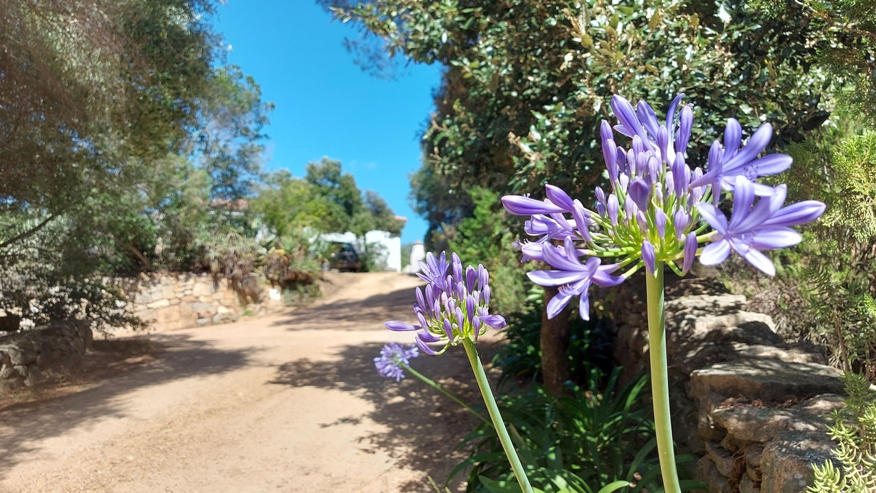 Photo of Outdoor in La Conia