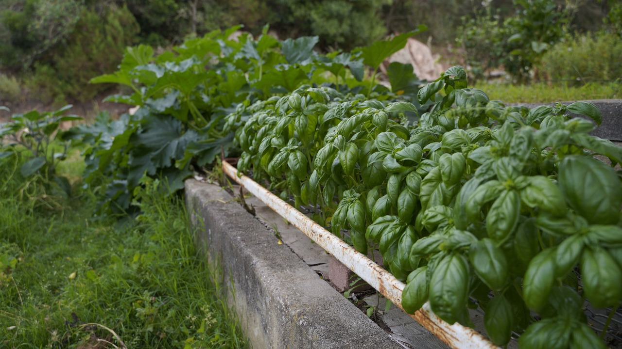 Photo of Outdoor in La Conia