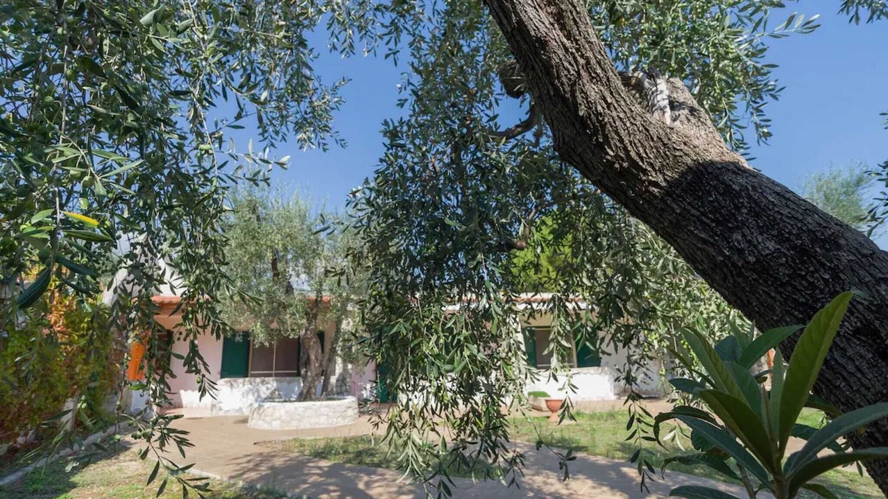 Photo of Outdoor in Mattinata