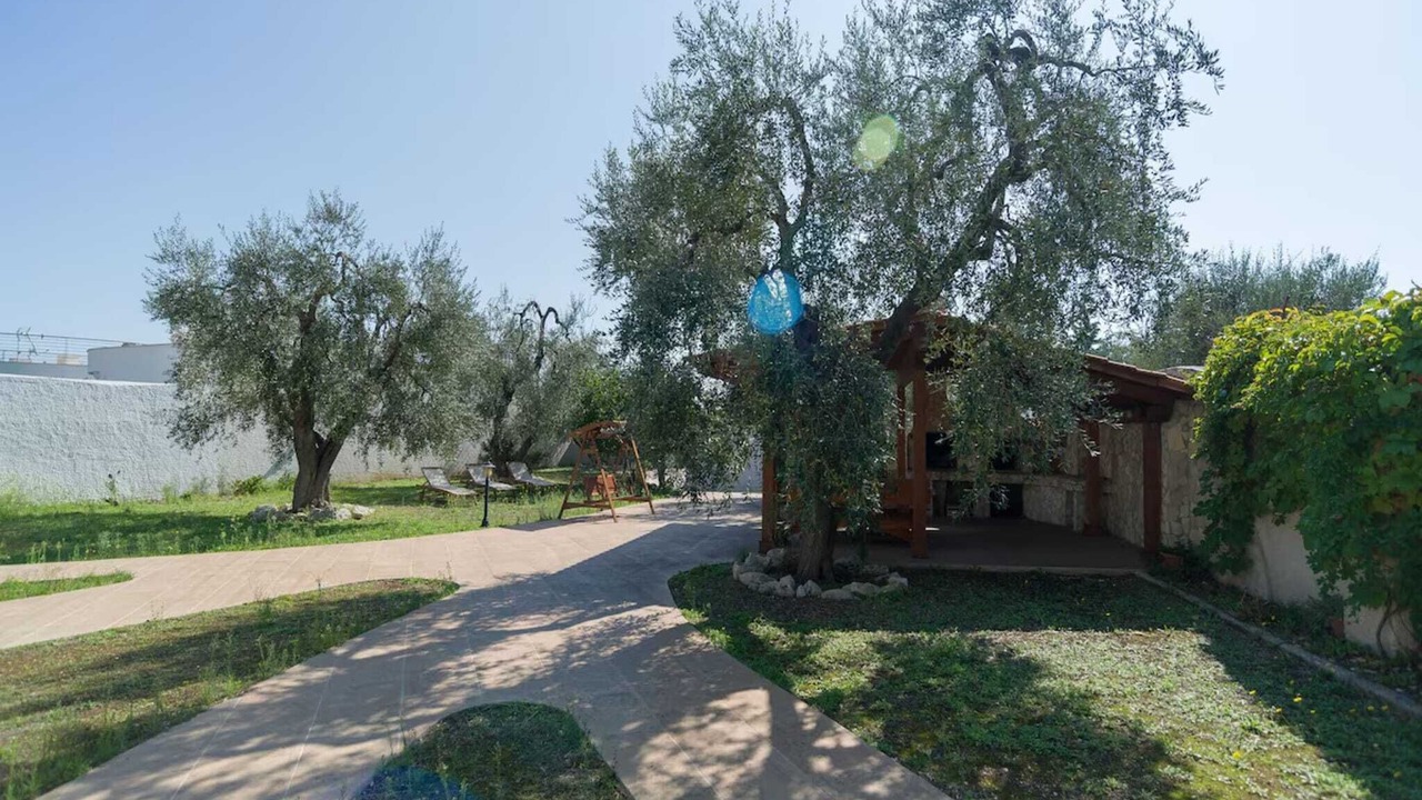 Photo of Outdoor in Mattinata