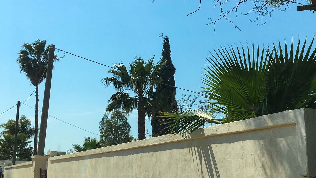 Photo of Outdoor in Ugento
