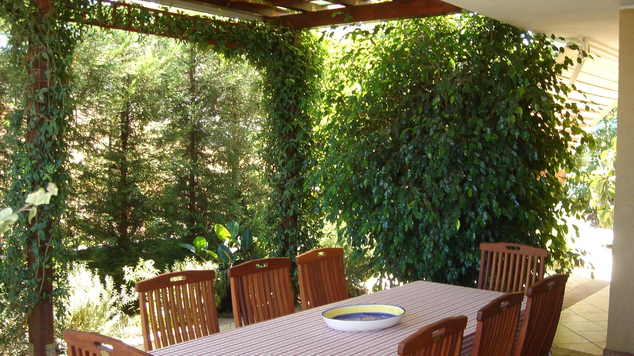 Photo of Outdoor in Briatico