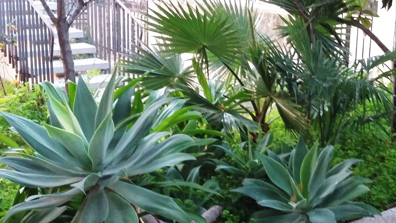 Photo of Outdoor in Fontane Bianche