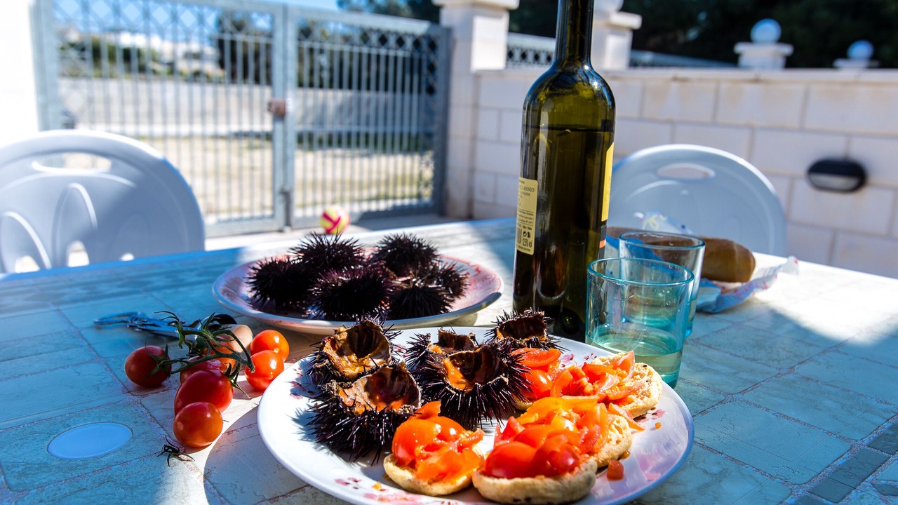 Photo of Outdoor in Torre Suda