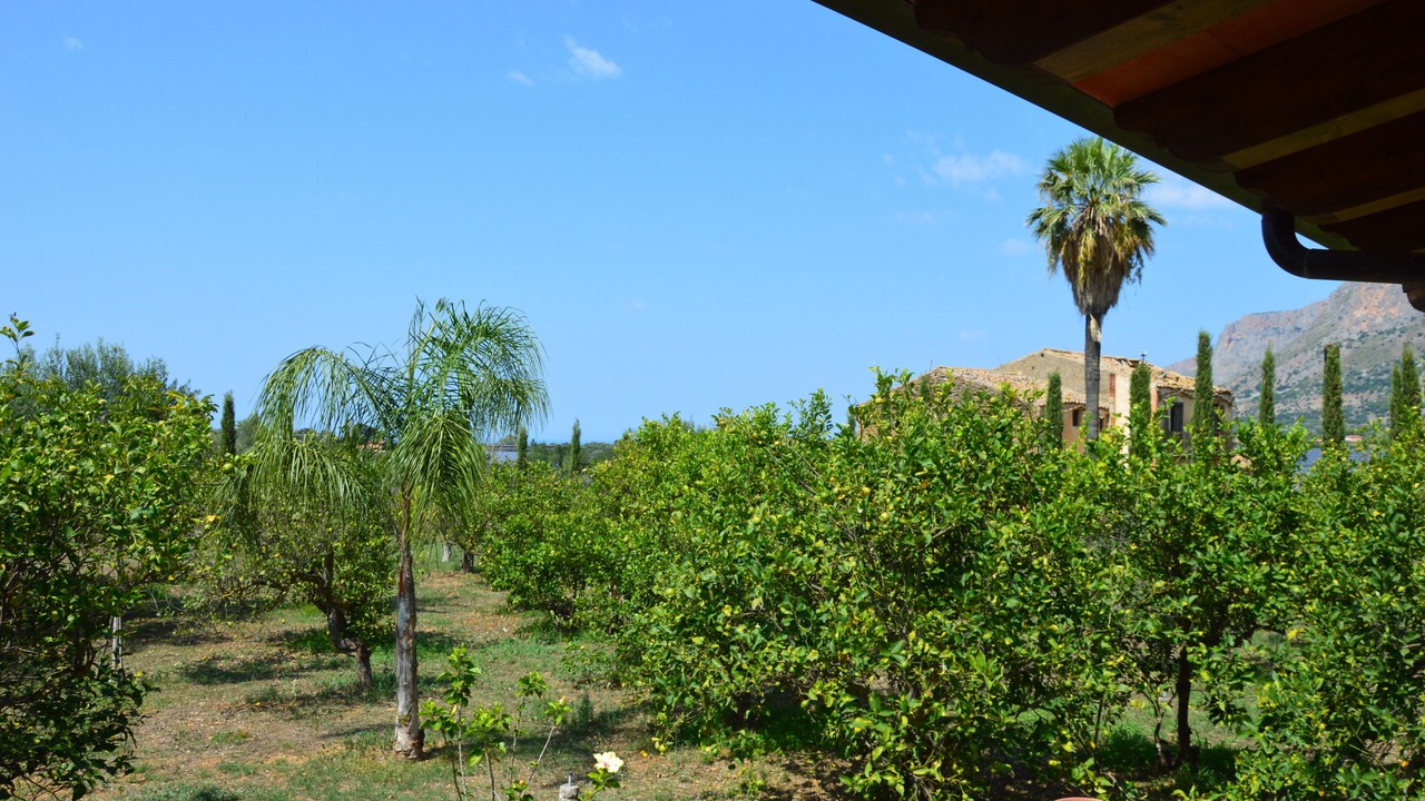 Photo of Outdoor in Partinico