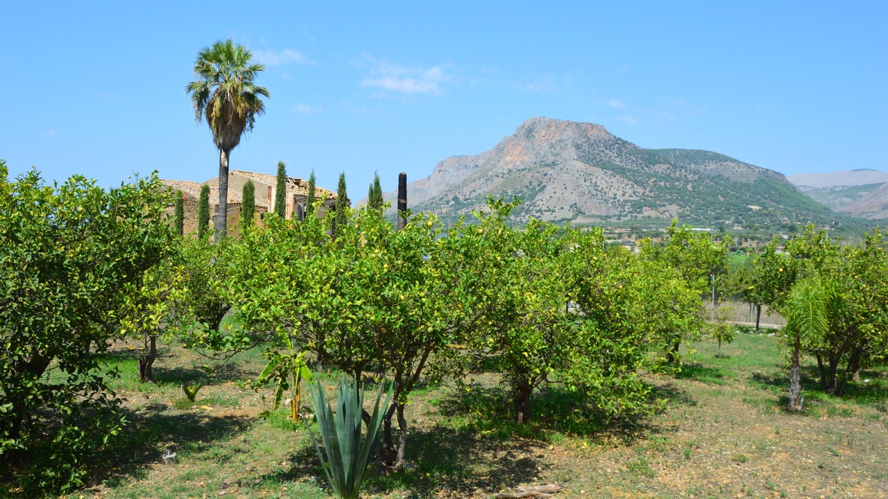 Photo of Outdoor in Partinico