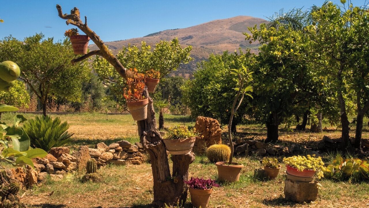 Photo of Outdoor in Partinico
