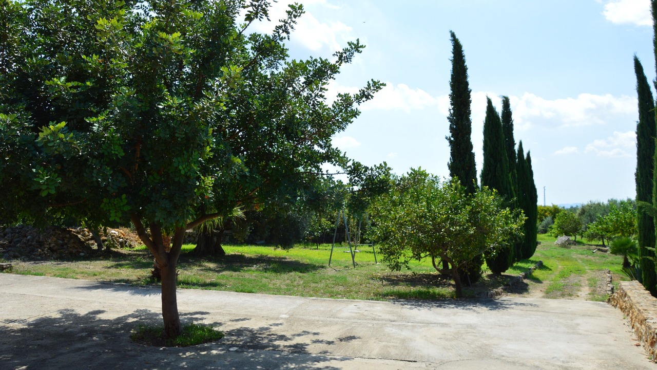 Photo of Outdoor in Partinico