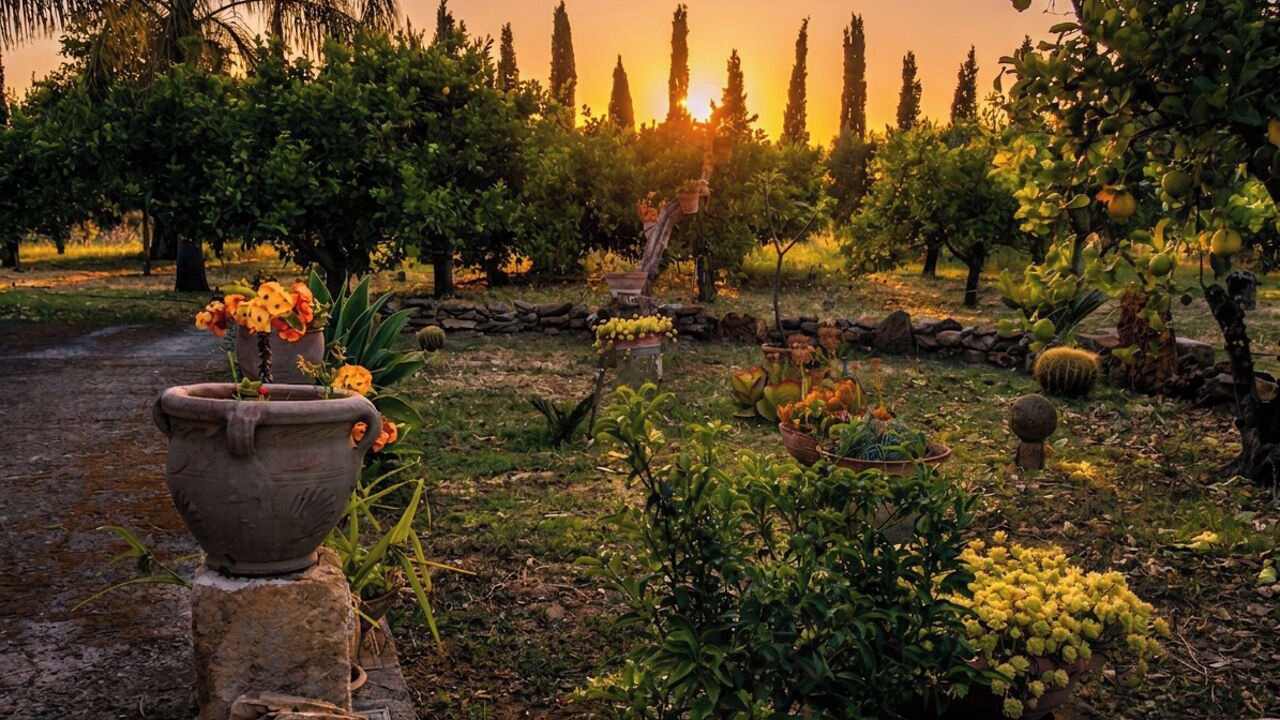 Photo of Outdoor in Partinico