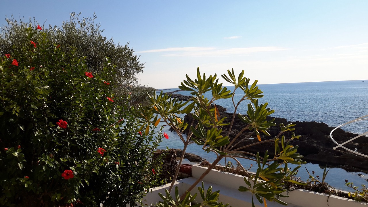 Photo of Outdoor in Belvedere Marittimo
