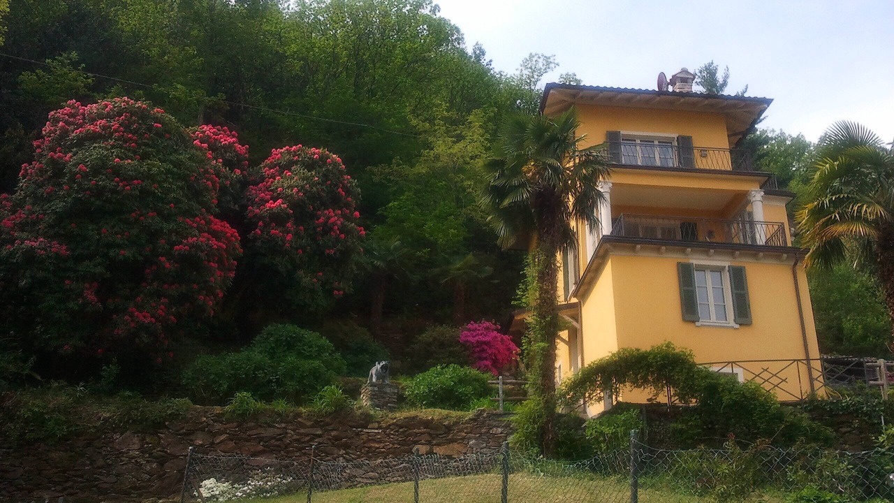 Photo of Outdoor in Cannobio