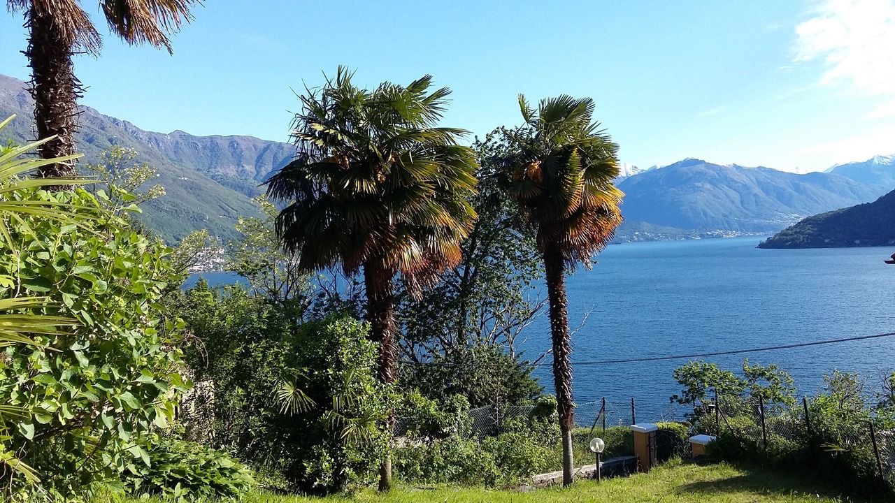 Photo of Outdoor in Cannobio