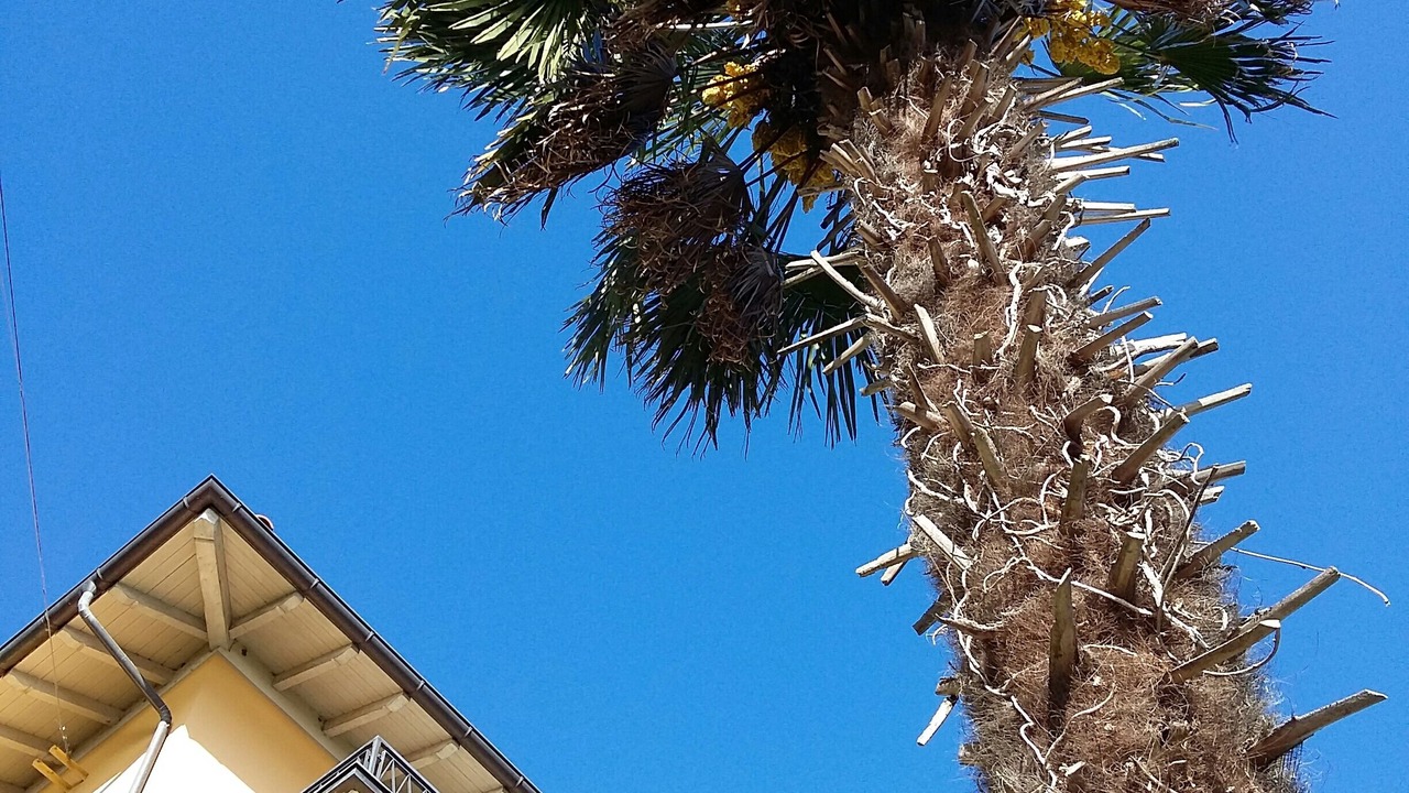 Photo of Outdoor in Cannobio