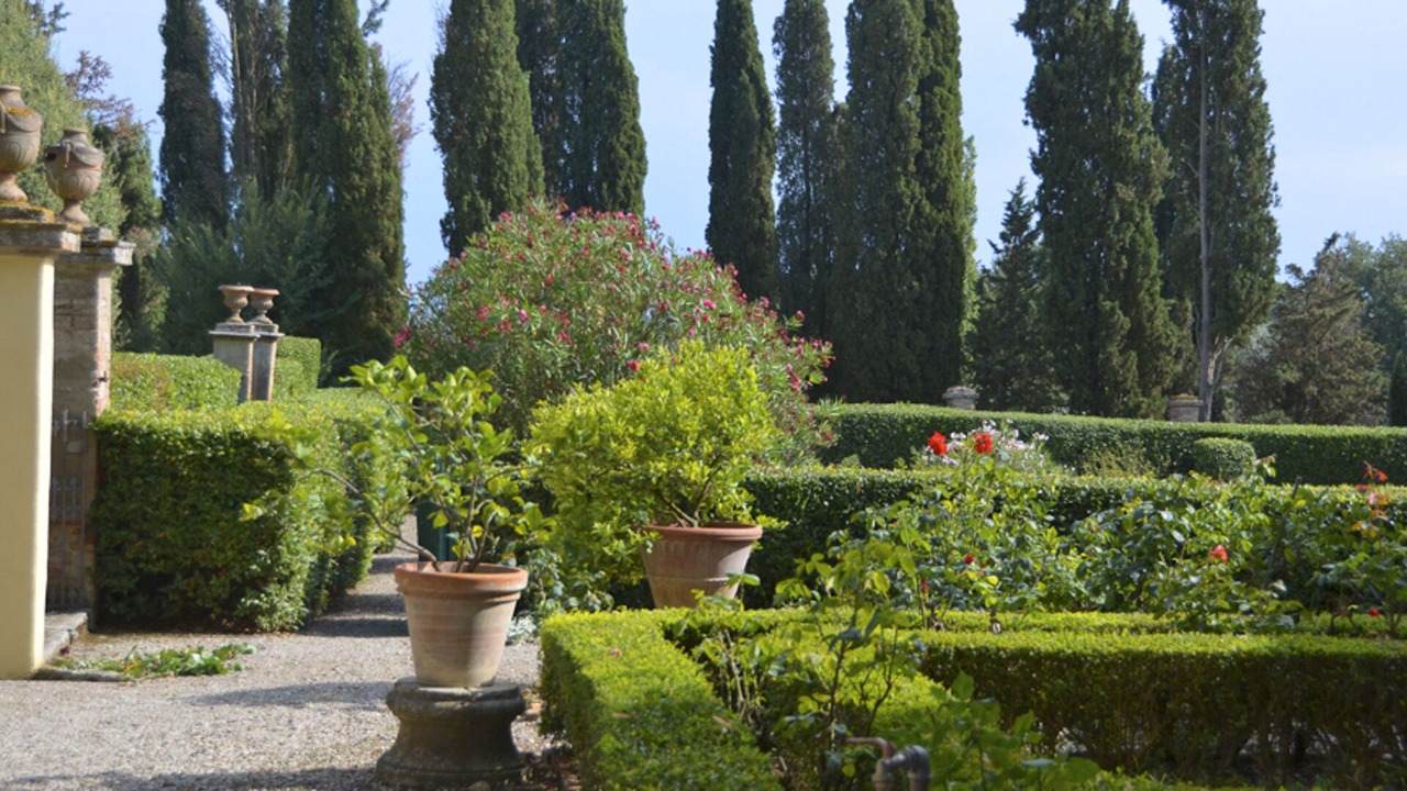 Photo of Outdoor in Montagnano