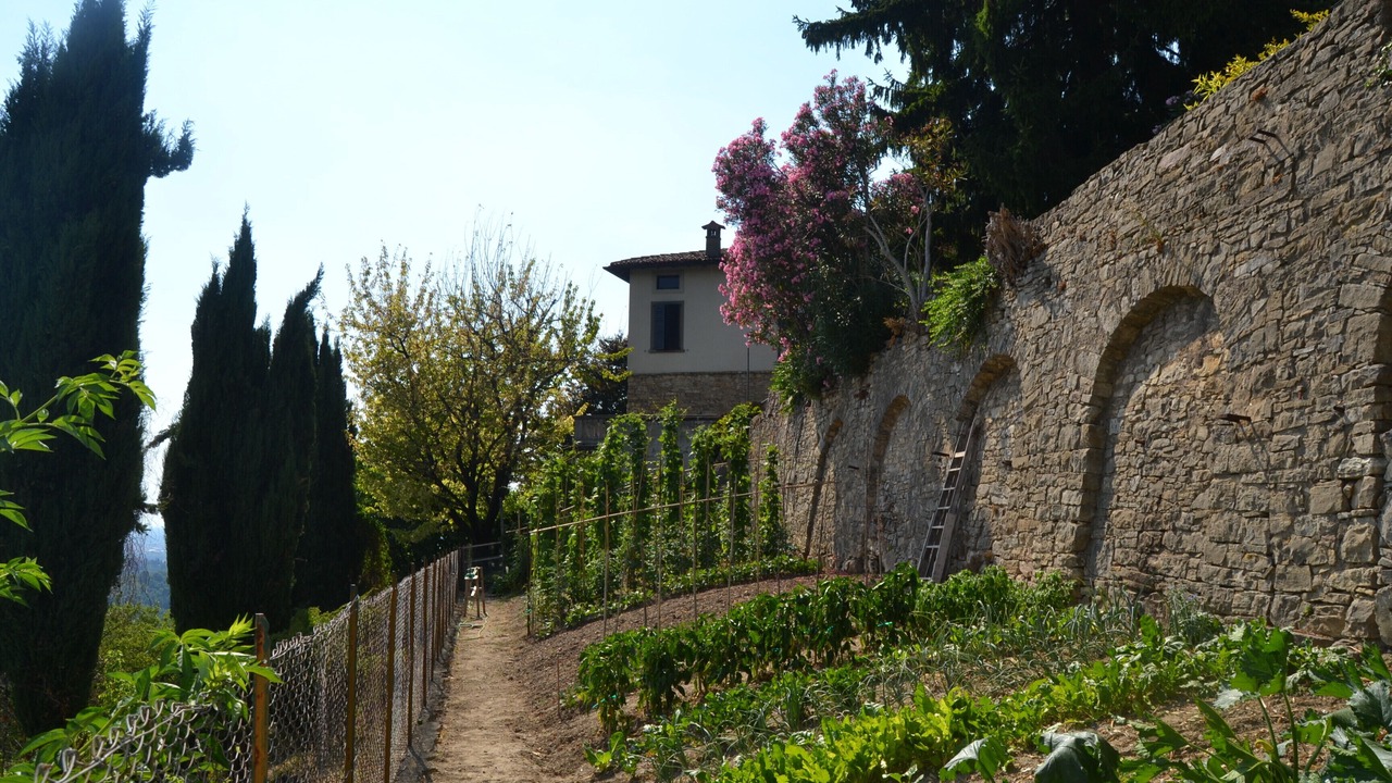 Photo of Outdoor in Bergamo