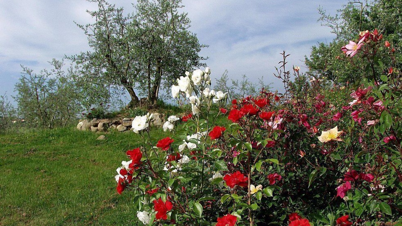 Photo of Outdoor in Marciano della Chiana