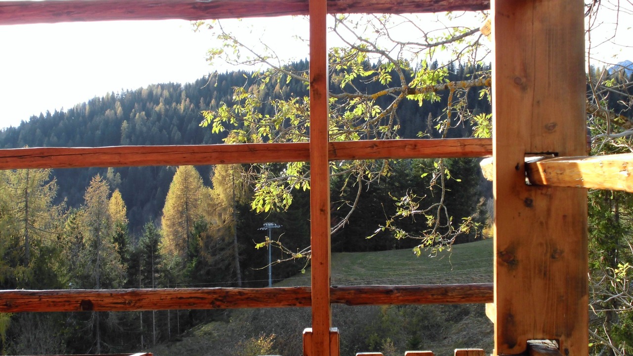 Photo of Outdoor in Sauris di Sopra