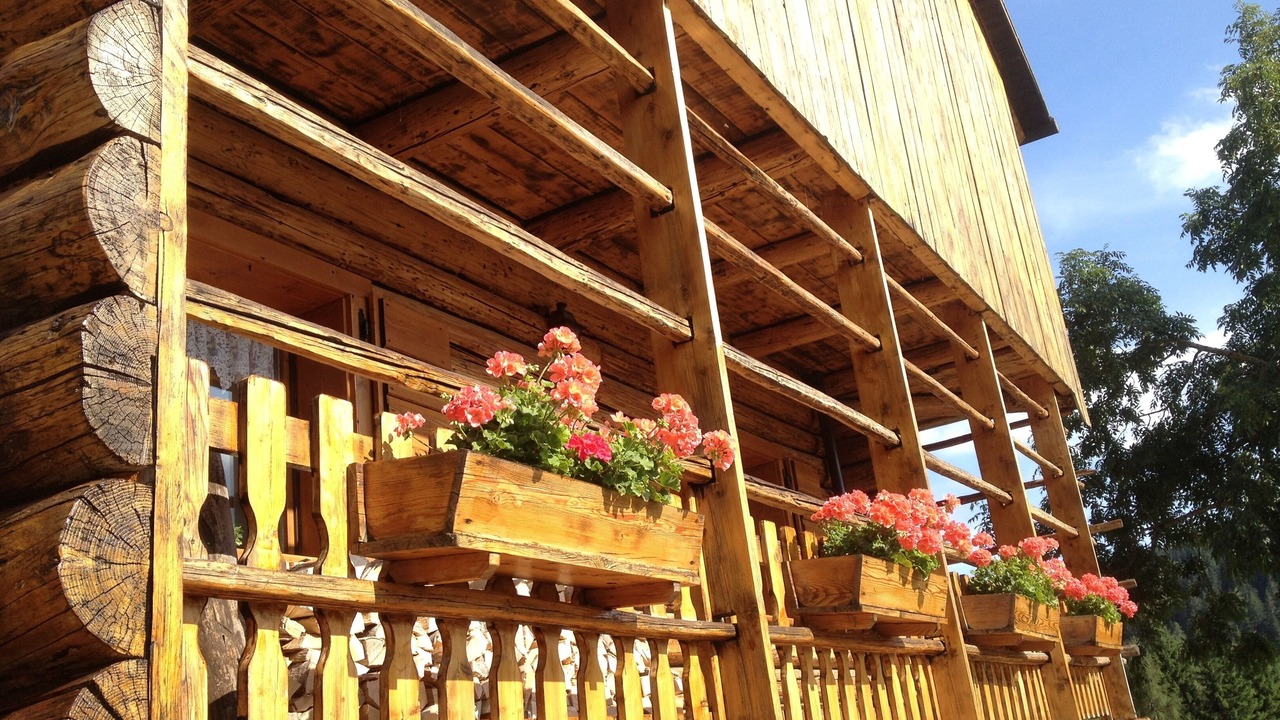 Photo of Outdoor in Sauris di Sopra