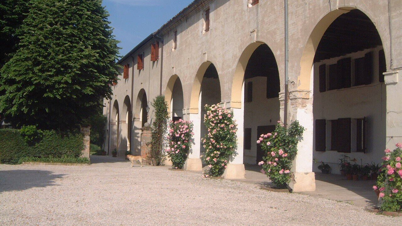 Photo of Outdoor in Dolo