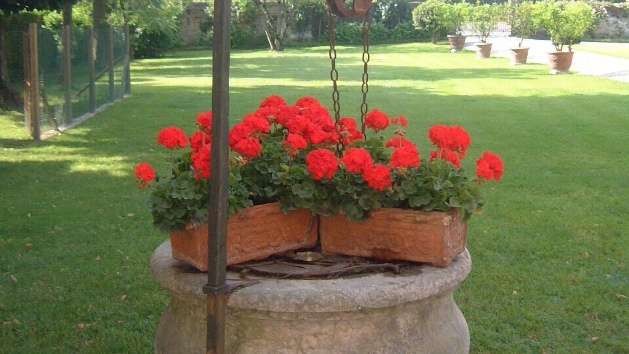 Photo of Outdoor in Dolo