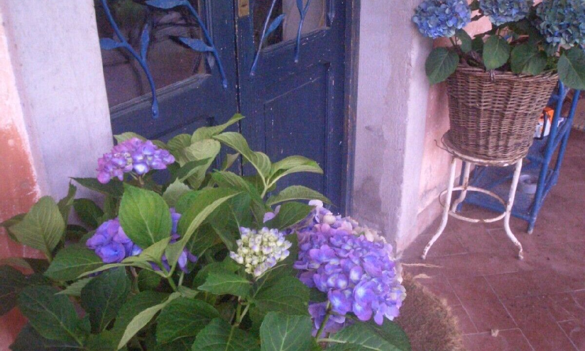 Photo of Outdoor in Orte