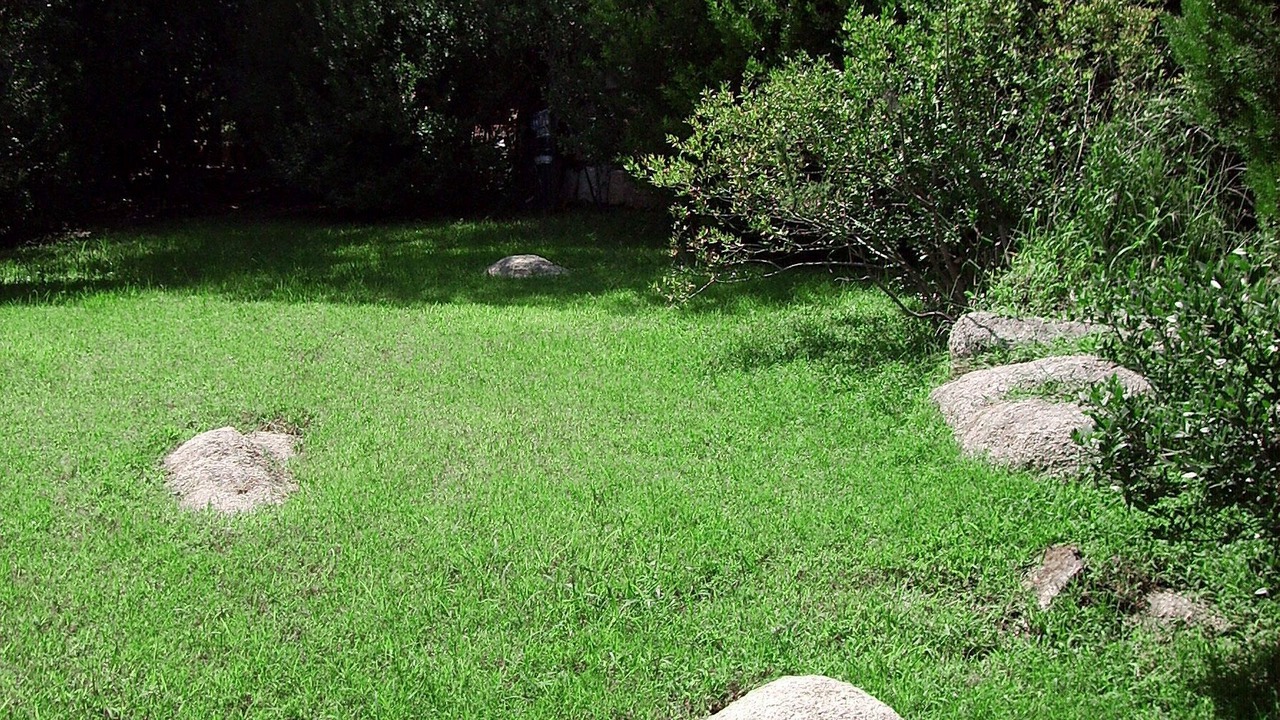 Photo of Outdoor in Punta Sardegna