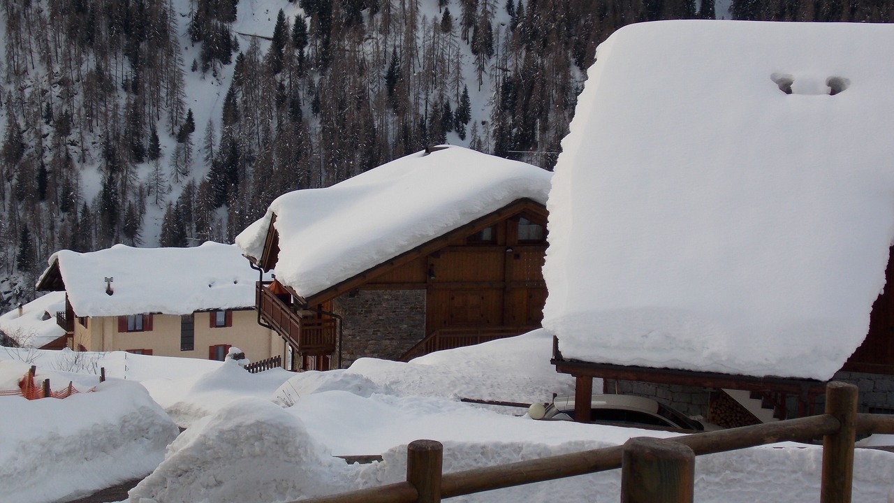 Photo of Outdoor in Rabbi