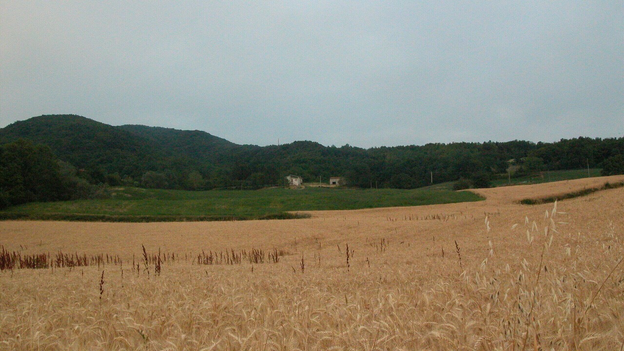 Photo of Outdoor in Berzieri