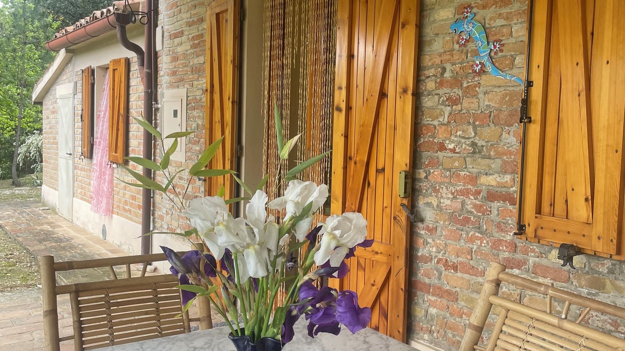 Photo of Outdoor in Serrungarina