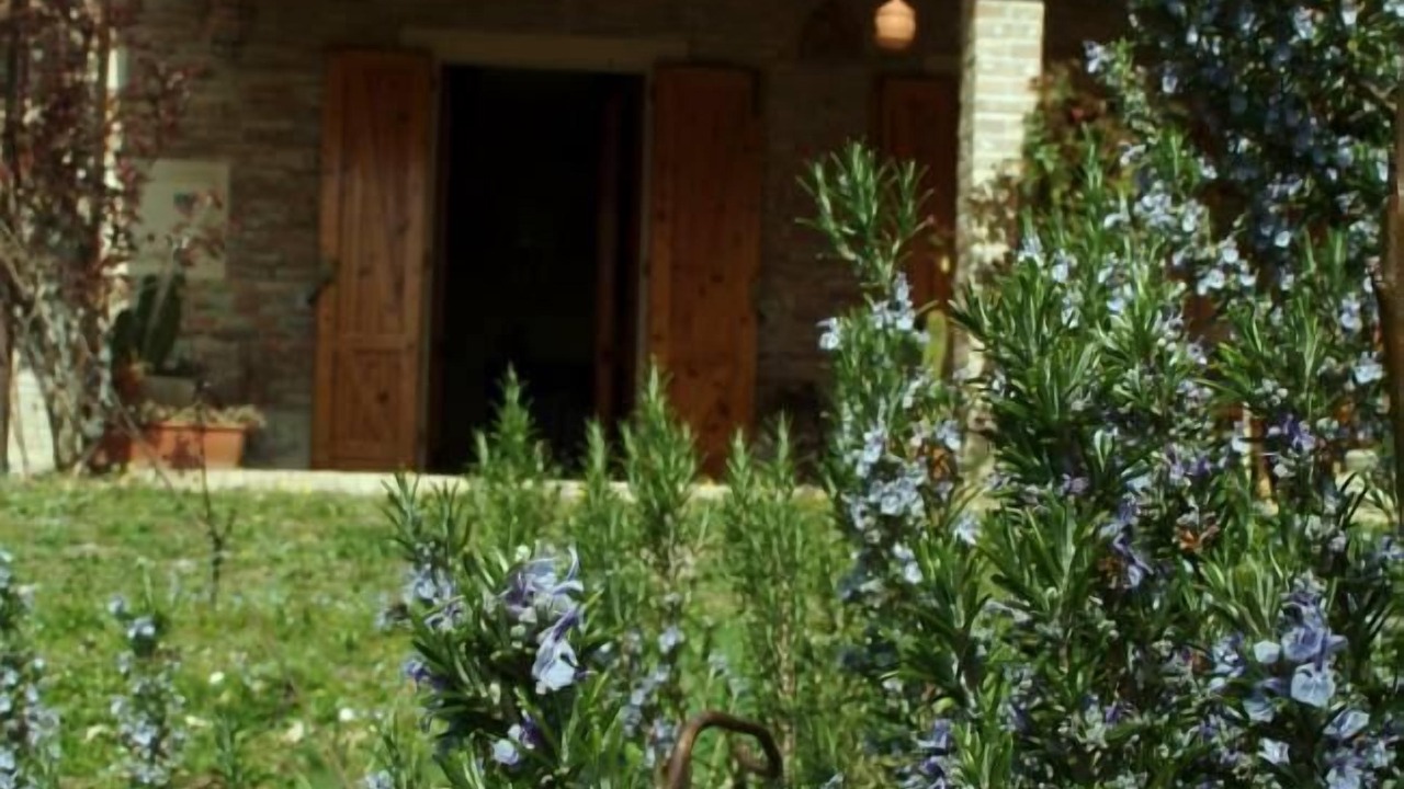 Photo of Outdoor in Serrungarina