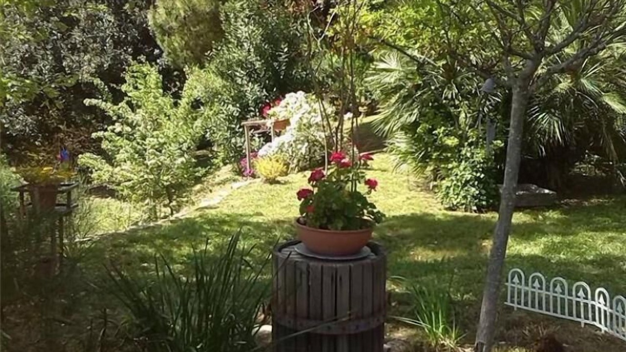 Photo of Outdoor in Serrungarina