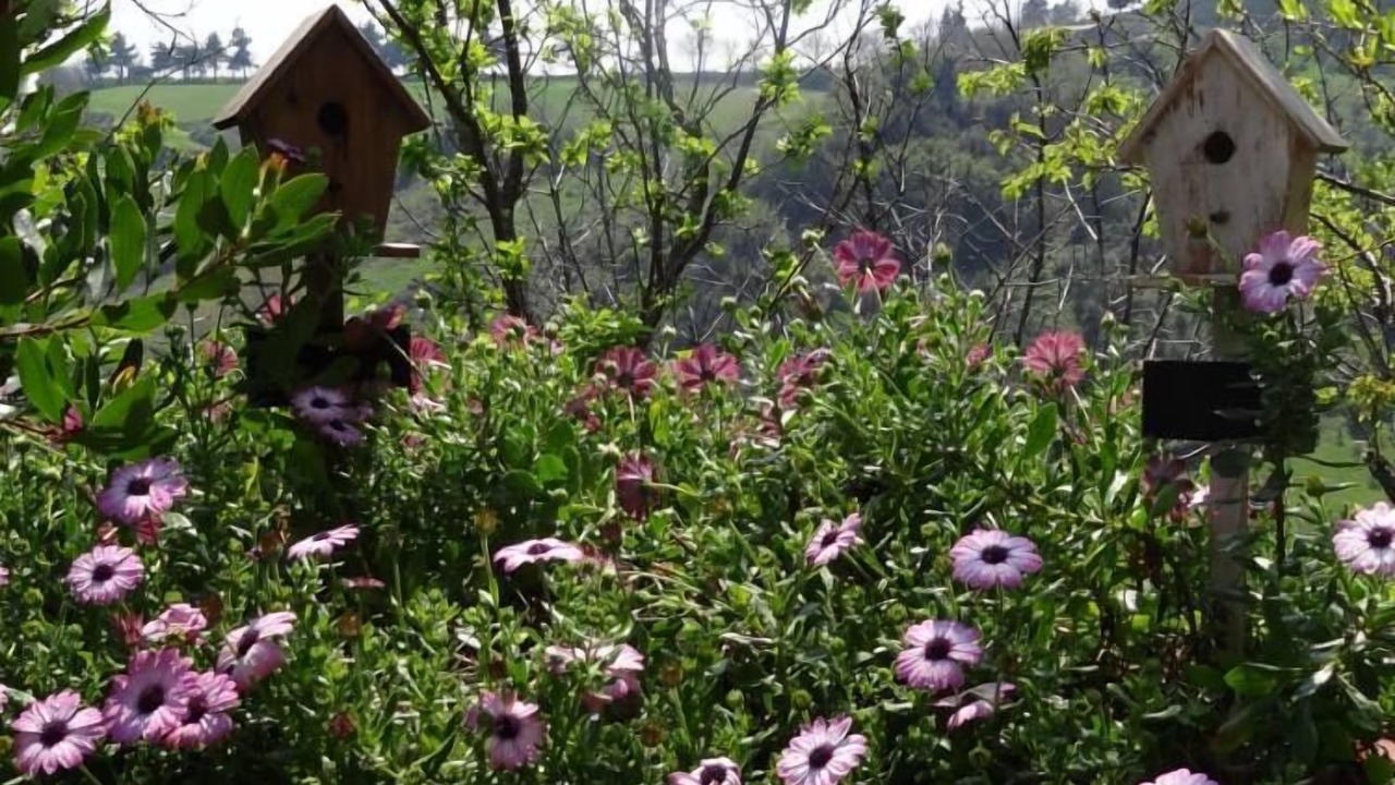 Photo of Outdoor in Serrungarina