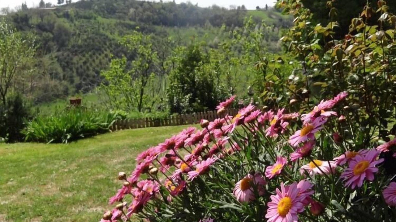 Photo of Outdoor in Serrungarina