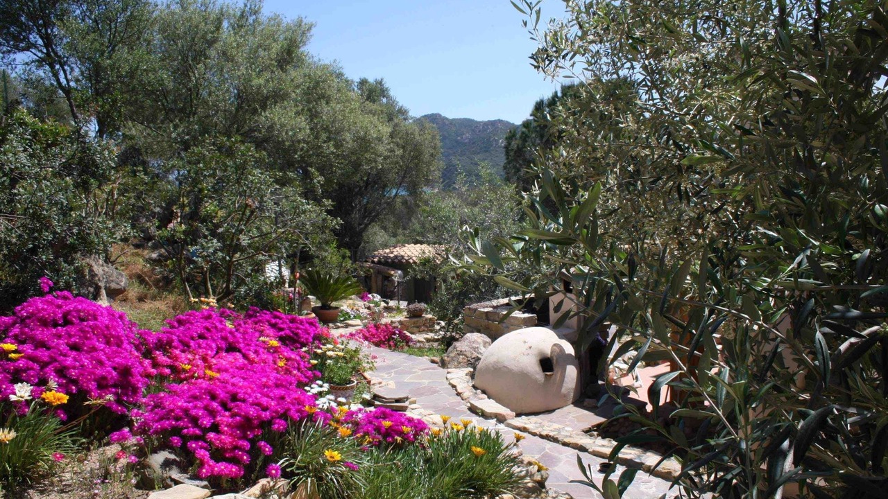 Photo of Outdoor in Cala Sinzias