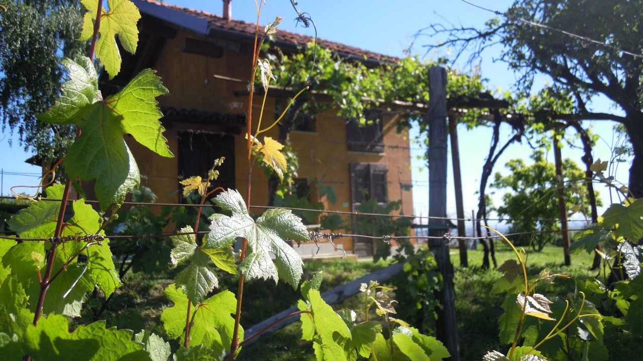 Photo of Outdoor in San Secondo di Pinerolo